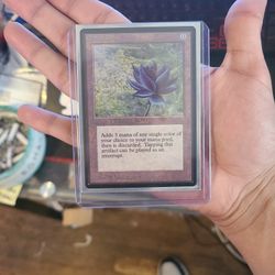 black lotus mtg card WOTC Black Lotus Sleeve