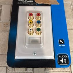 HDMI Compatible Wall Plate/ W Audio