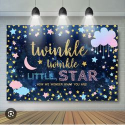 Twinkle Twinkle Little Star Baby Shower Gender Reveal Kit 17 Pieces