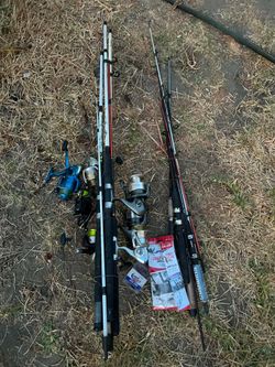 Fish rods and reels