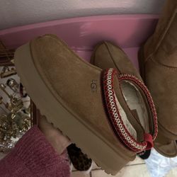 ugg tasman
