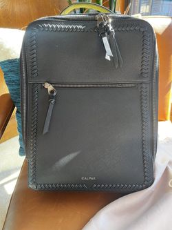 Calpak Laptop Backpack 