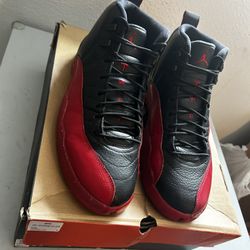 Flu Game Jordan 12s