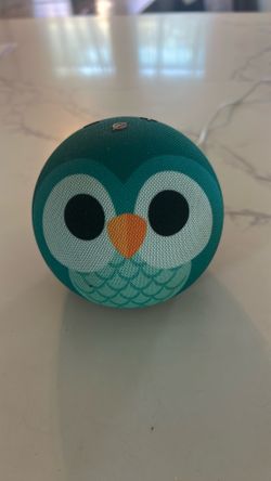 Echo dot kids model
