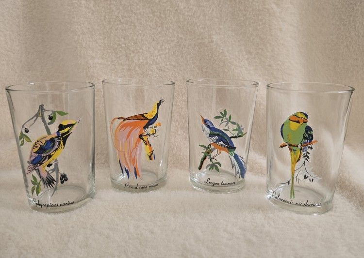 1970s Tropical Bird Set Of 4 Glasses