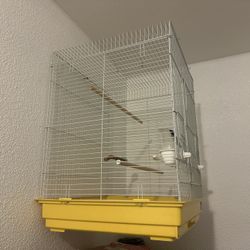 Big Bird Cage