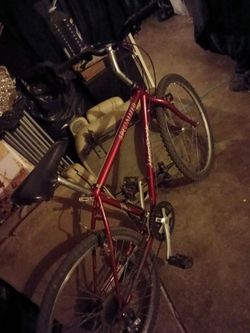 Specialized Vintage Bike