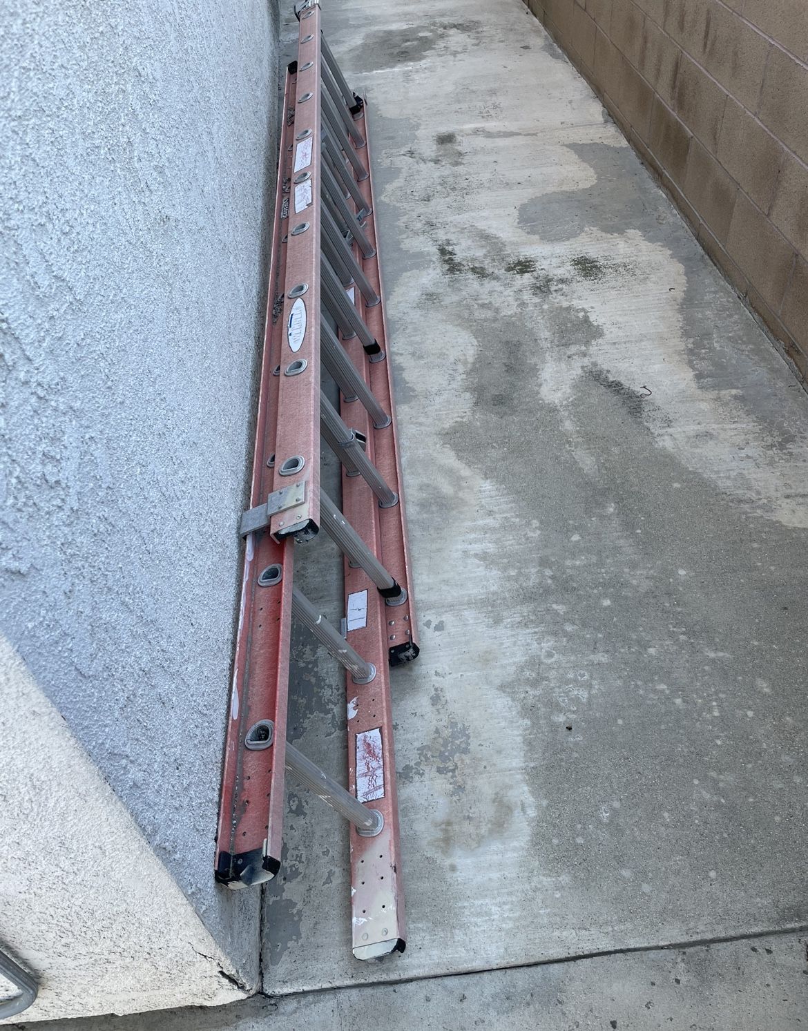 Werner Ladder 20 Feet