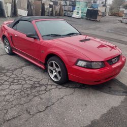 2000 Ford Mustang