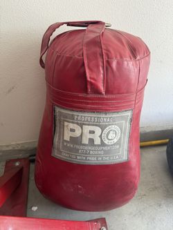 Punching Bag 