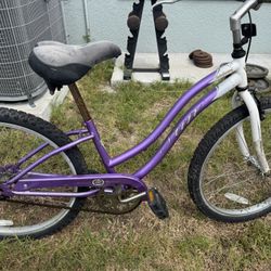 Sun Cruiser Bicycle 