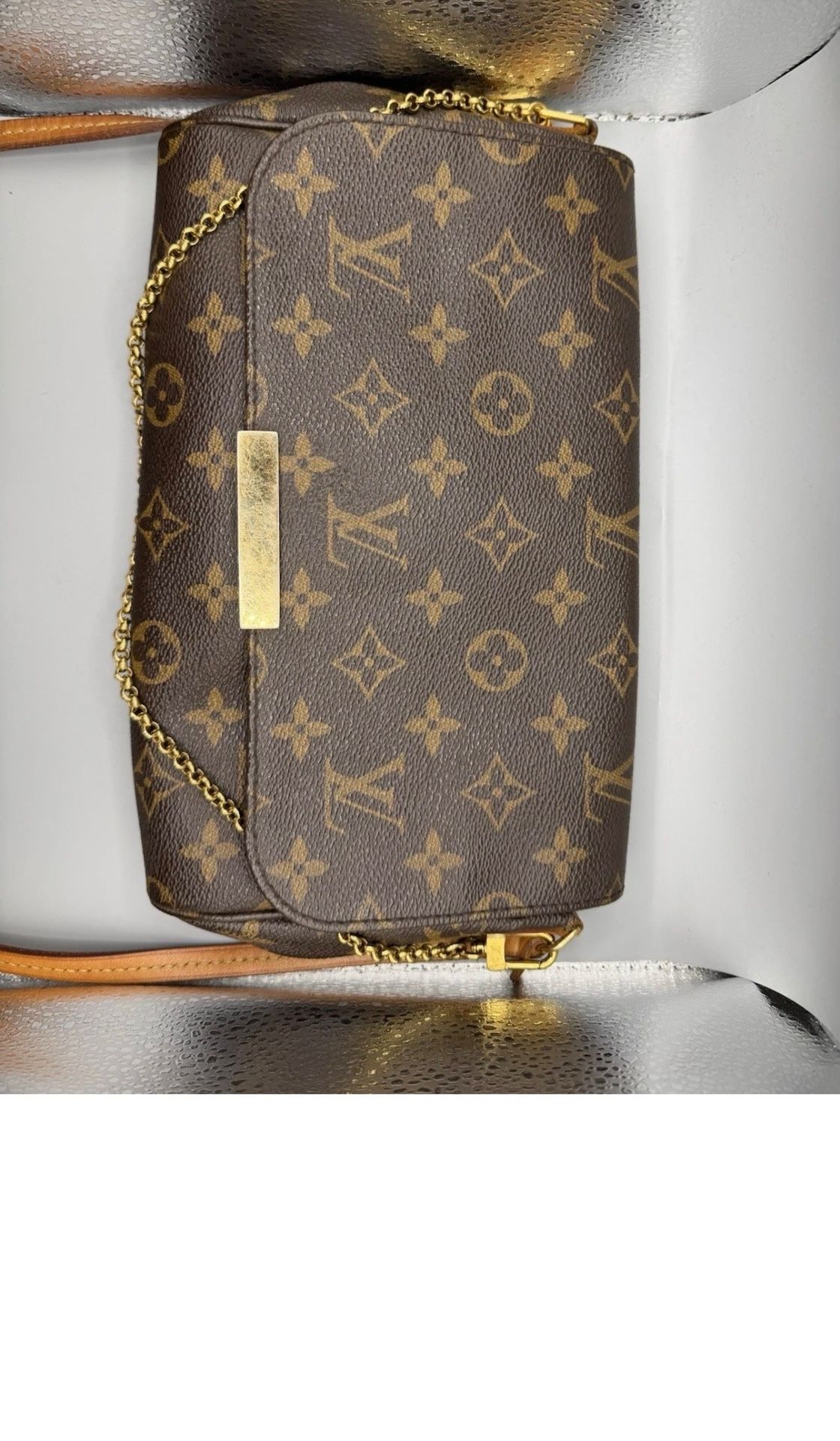 Louis Vuitton Favorite MM (Discontinued)
