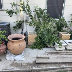 Planter Pots ,, High Quality   NO SHIPPING 