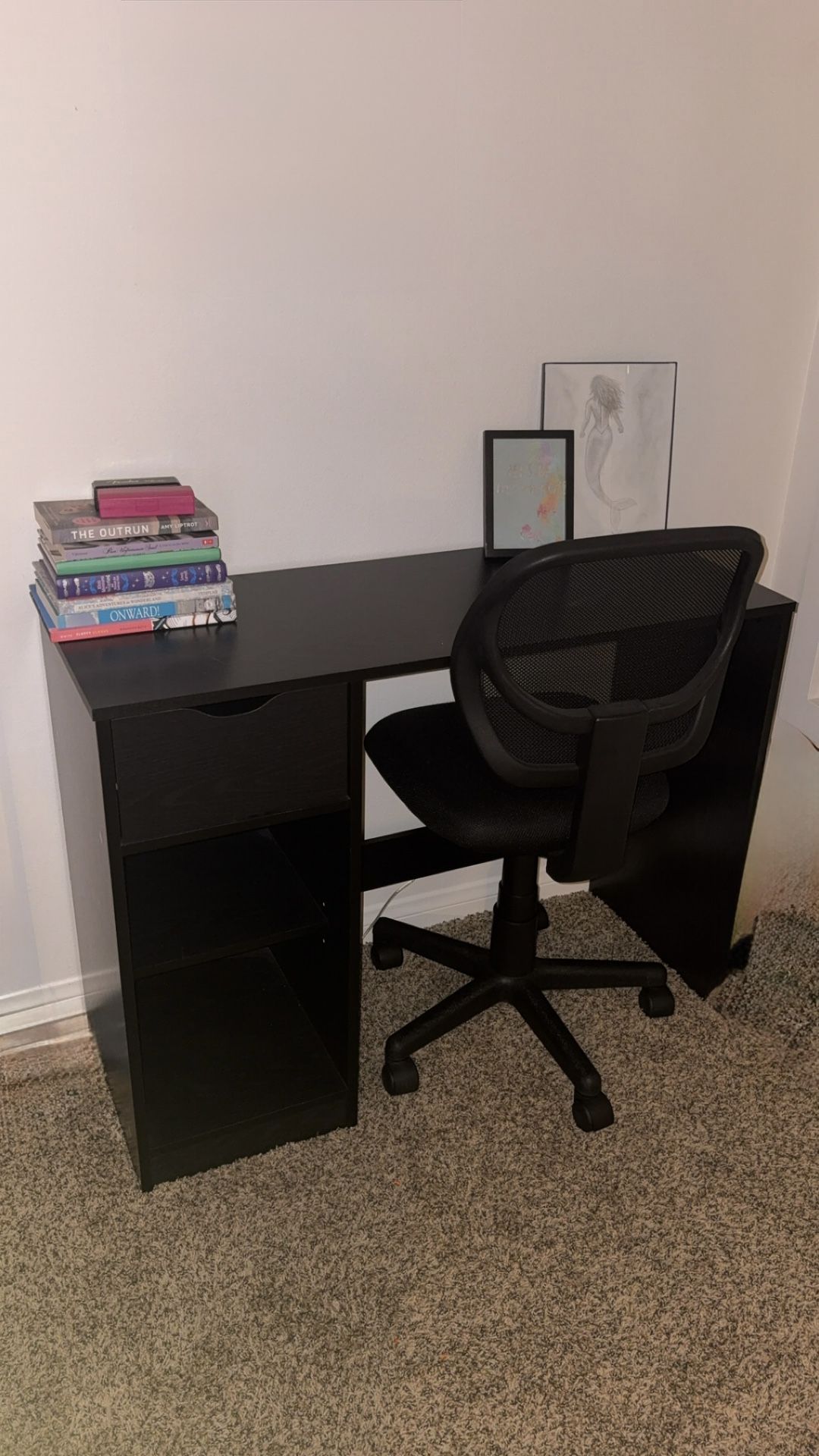 Home Office desk And chair With Shelves And drawer