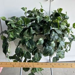 Full Silk Plants In Wooden Wicker Basket