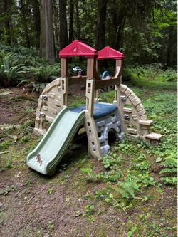 Step 2 kids climber
