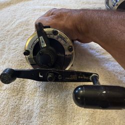 Daiwa Sealine LD50H