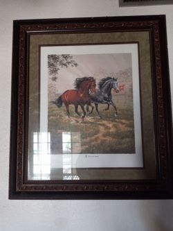 Horses Large  Picture Frame