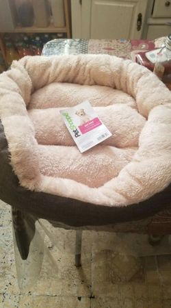 CAMITAS. NUEVAS. PARA. MASCOTAS