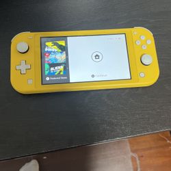 Nintendo Lite