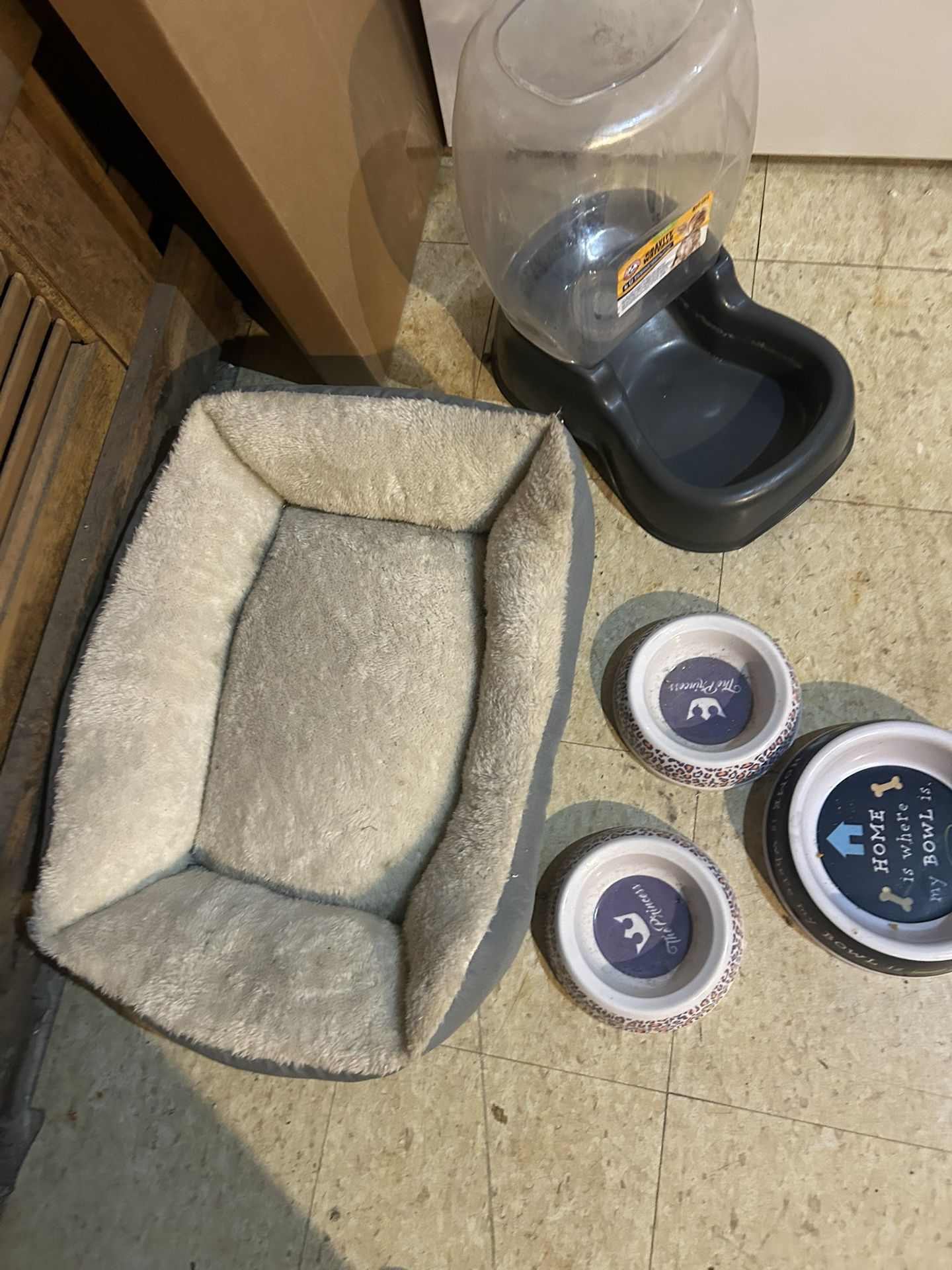 Cat supplies