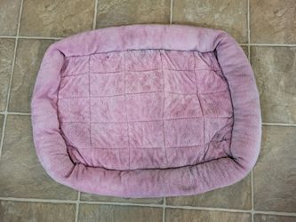 Pet Bed