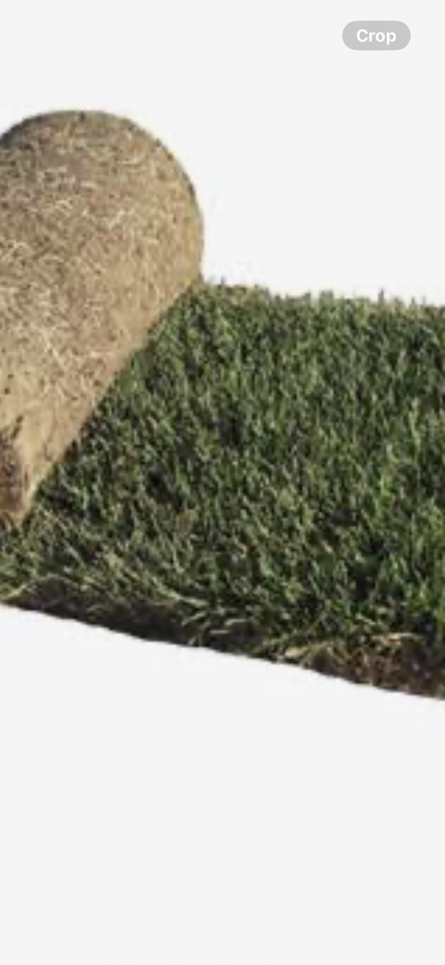 Fresh Sod