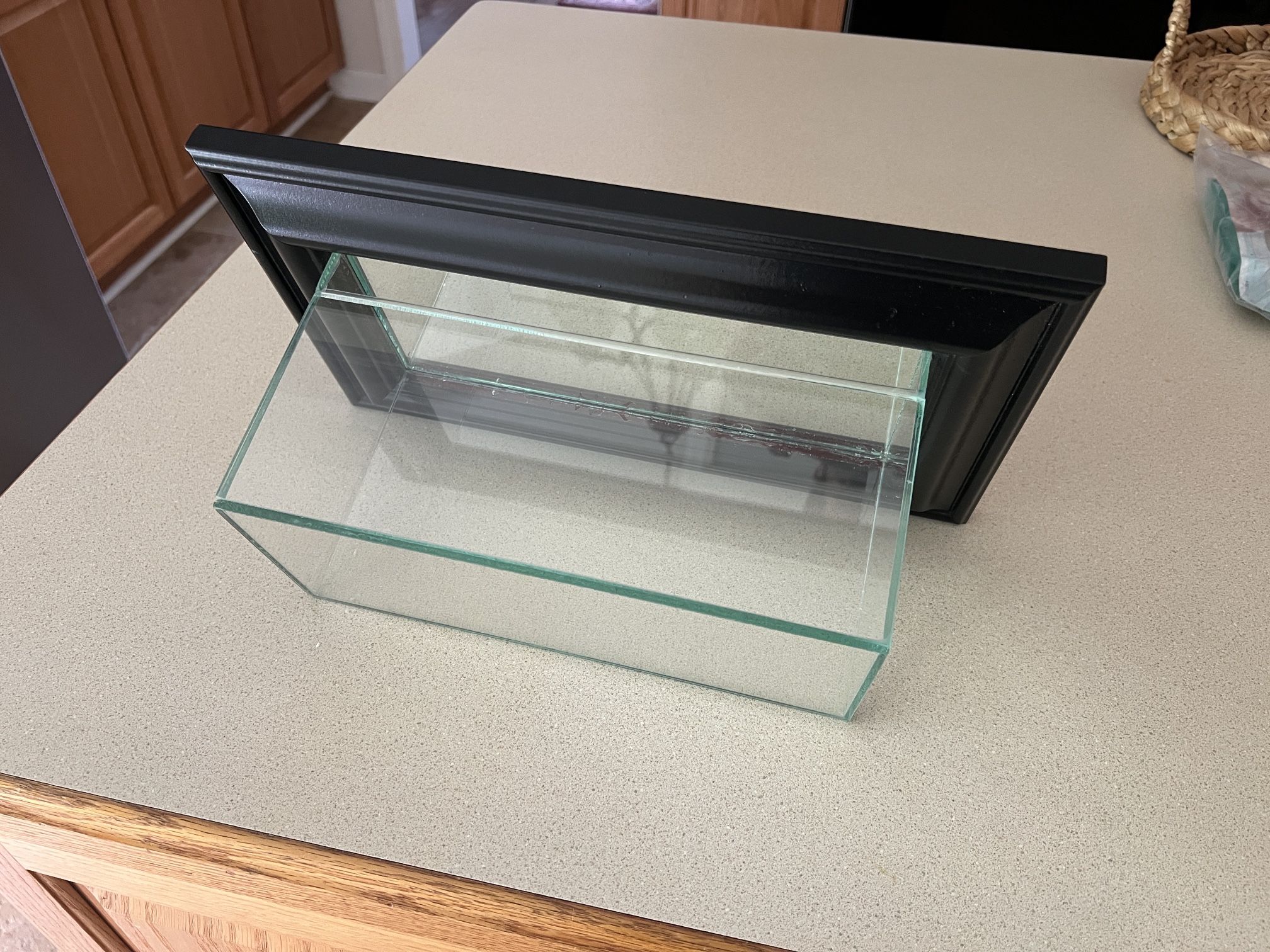 Wall Mounted Display Case - Baseballs / Collectibles