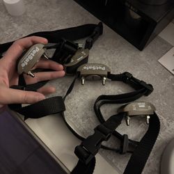 PetSafe Shock Collar 