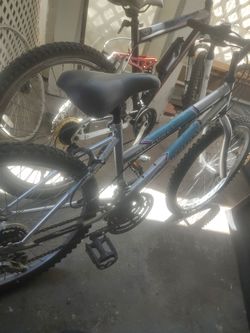Bike cerrera  20".usada