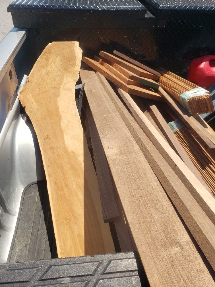 Variety Of Different Species Of Wood