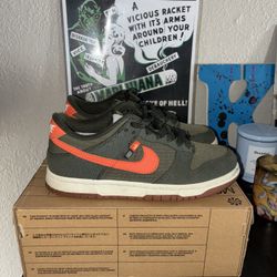 Nike Dunk Sequoia 5y