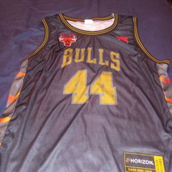 Bulls Jersey 