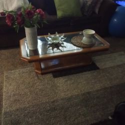 Glass / Wood Coffee Table 
