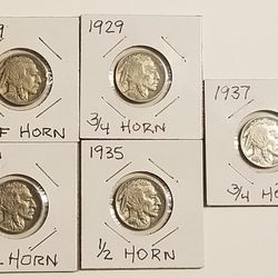 Lot Of Buffalo Head Nickels