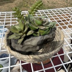 Arrangement Decor