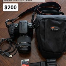 Sony OX100