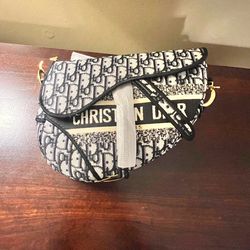 Christian Dior saddle