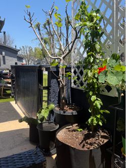 Make offer on all of it