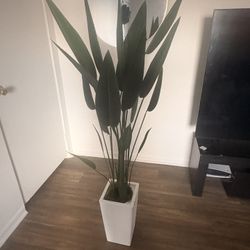 Unrealistic Plant With White Planter 