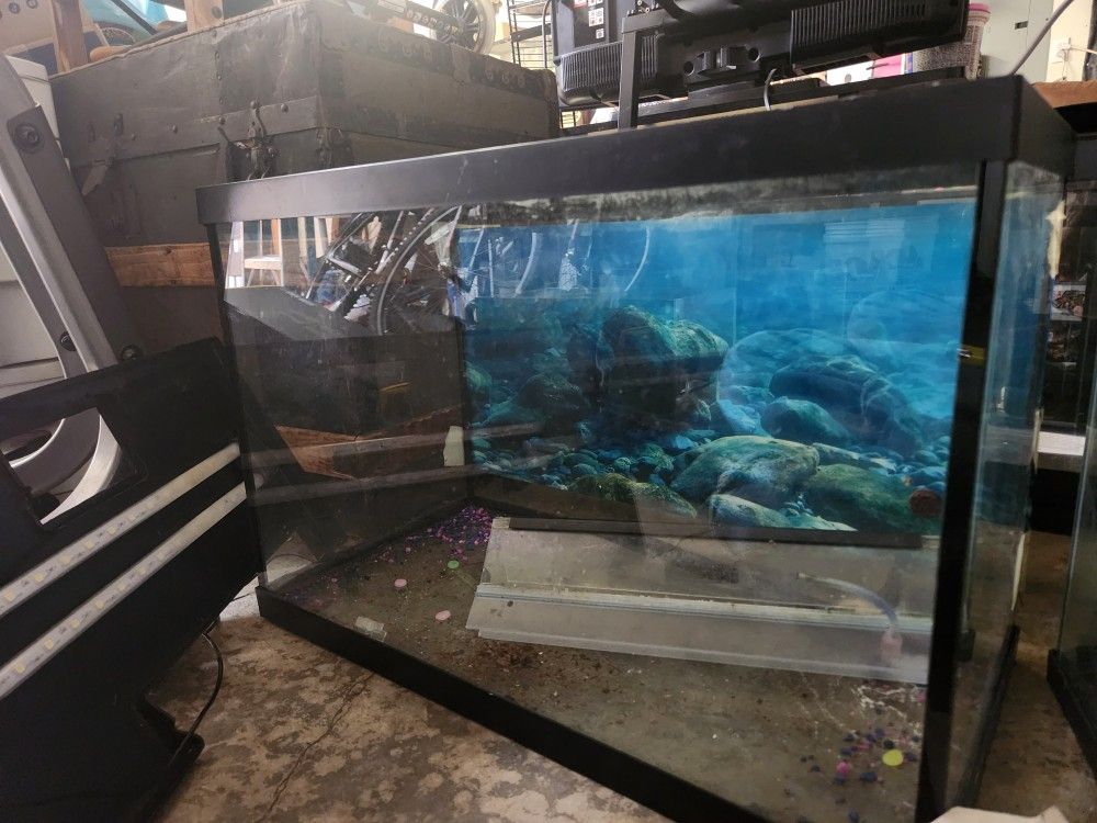 Fish Tank