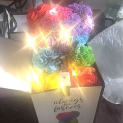 Oso Con Caja Y Luz