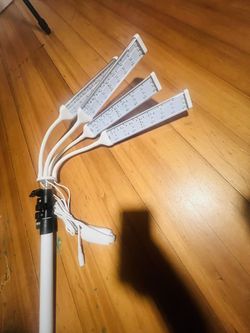 Red Light Therapy Machine 