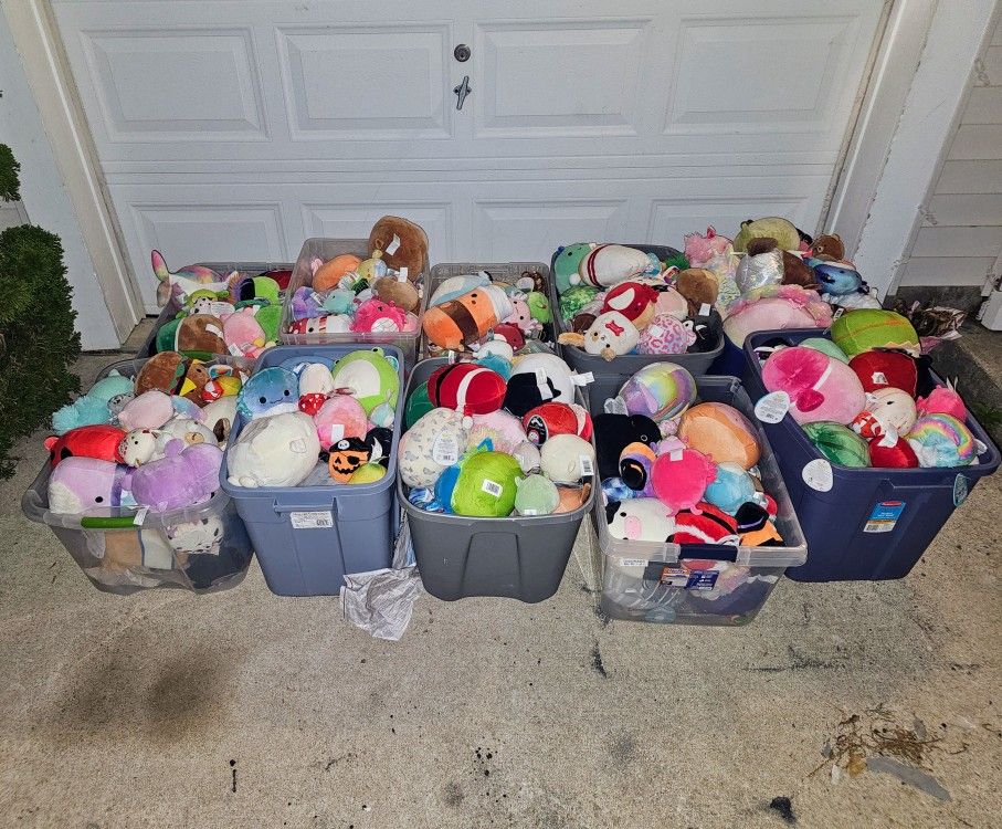 Squishmallows, Box Of Multiple Random