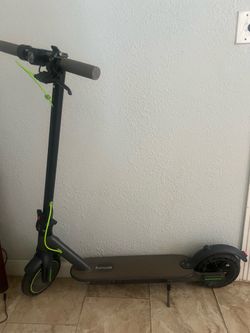 Adult Scooter