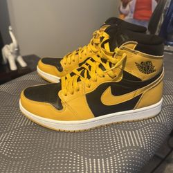 Pollen Jordan 1s 