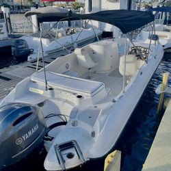 2014 25 Stingray Bow-rider Yamaha 4 Stroke 