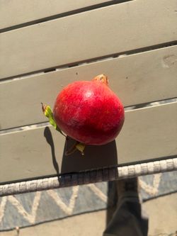 Pomegranate