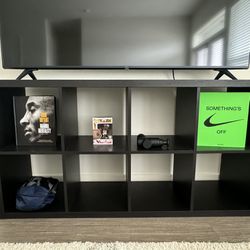 Bookshelf / TV Stand