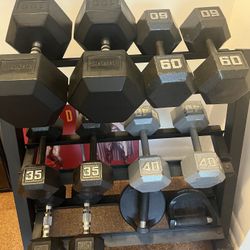 Work Out Equipment 